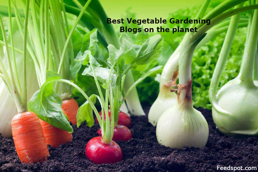 vegetable gardening download free