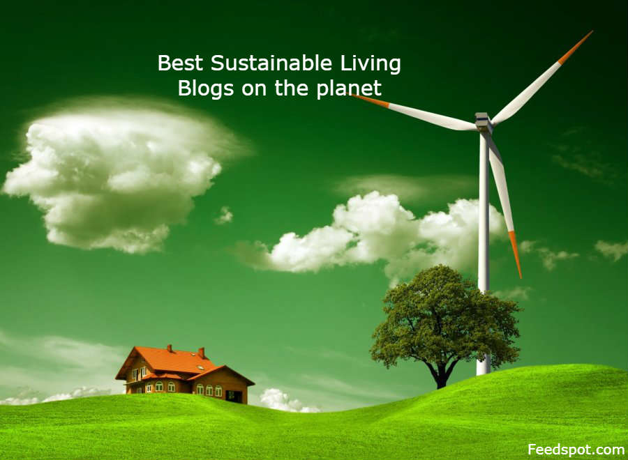 Sustainable Living Blogs