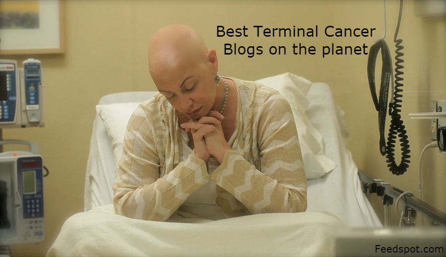 Terminal Cancer Blogs