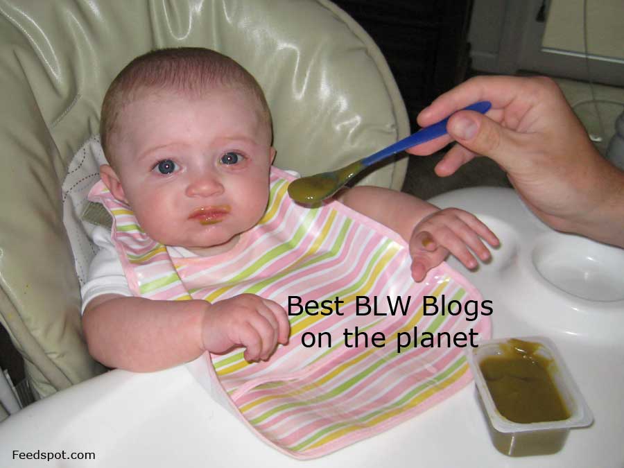 BLW Blogs