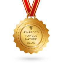 Badge award - Top 100 Nature Blog - Link to site