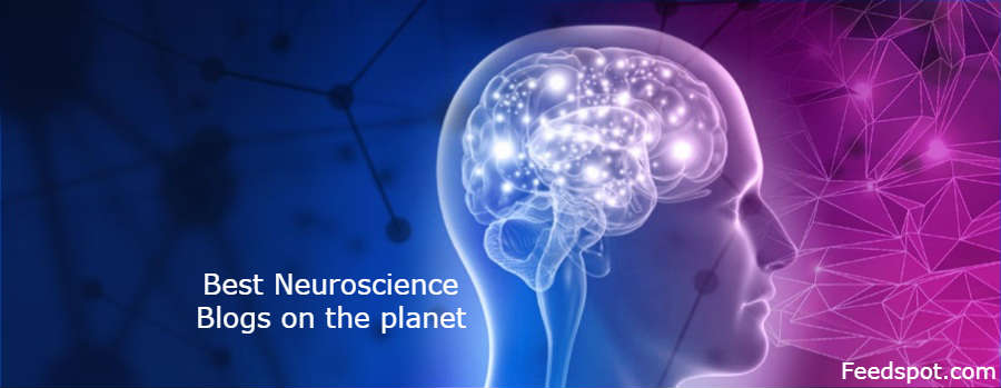 Neuroscience Blogs