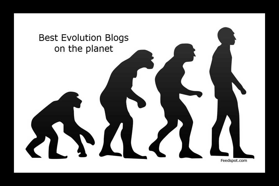 Evolution Blogs