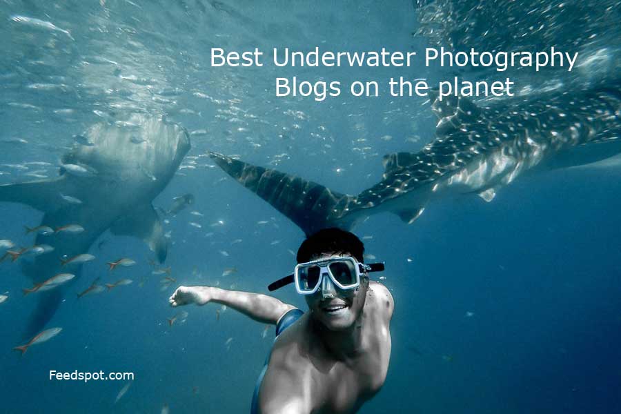 Underwater Photography Blogs