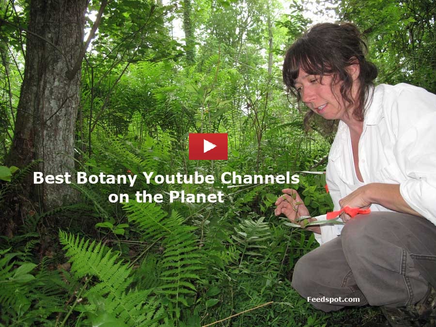 Top 20 Botany Youtube Channels For Botanists And Plant Scientists