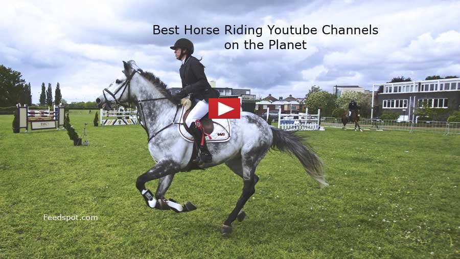 Top 75 Horse Riding Youtube Channels Equestrian Youtube Channels