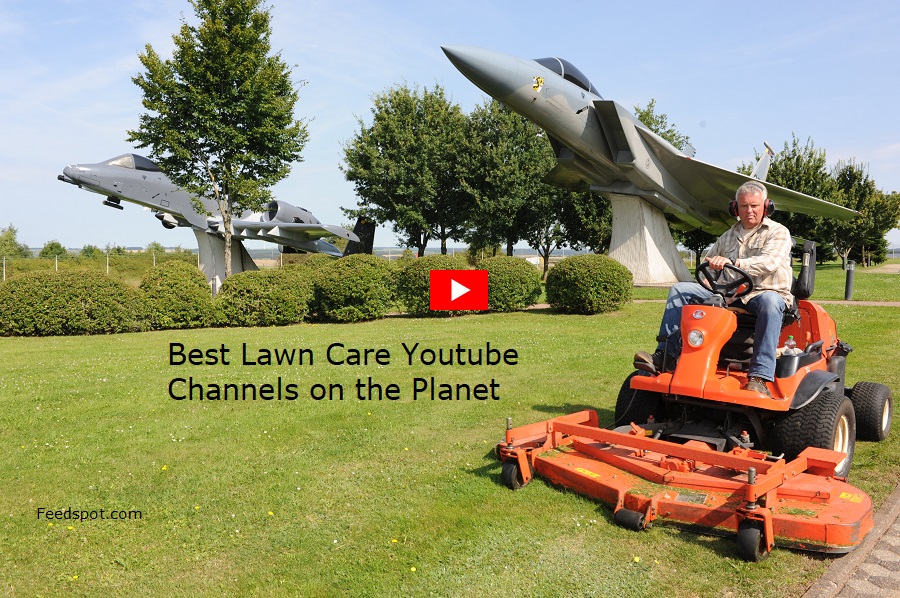 best lawn care