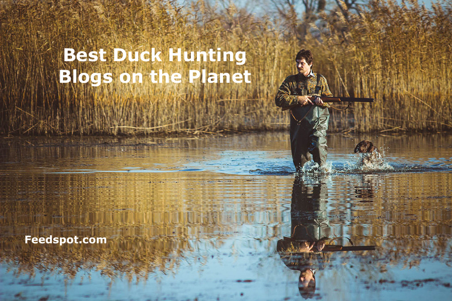 Duck Hunting