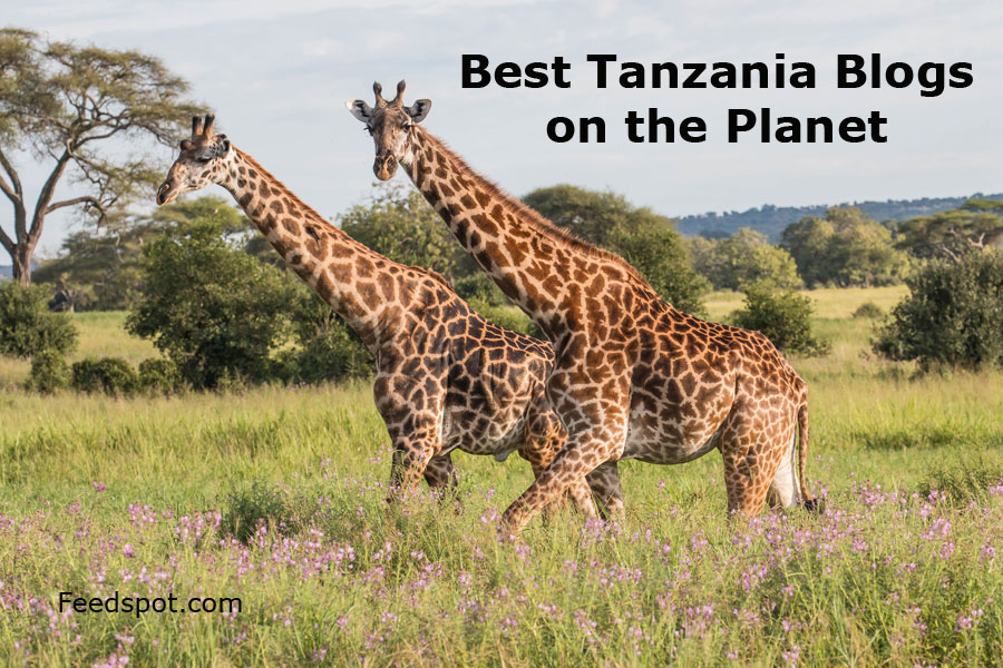 Tanzania Blogs
