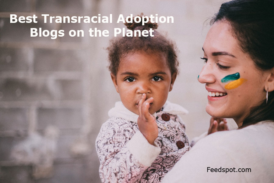 Transracial Adoption Blogs
