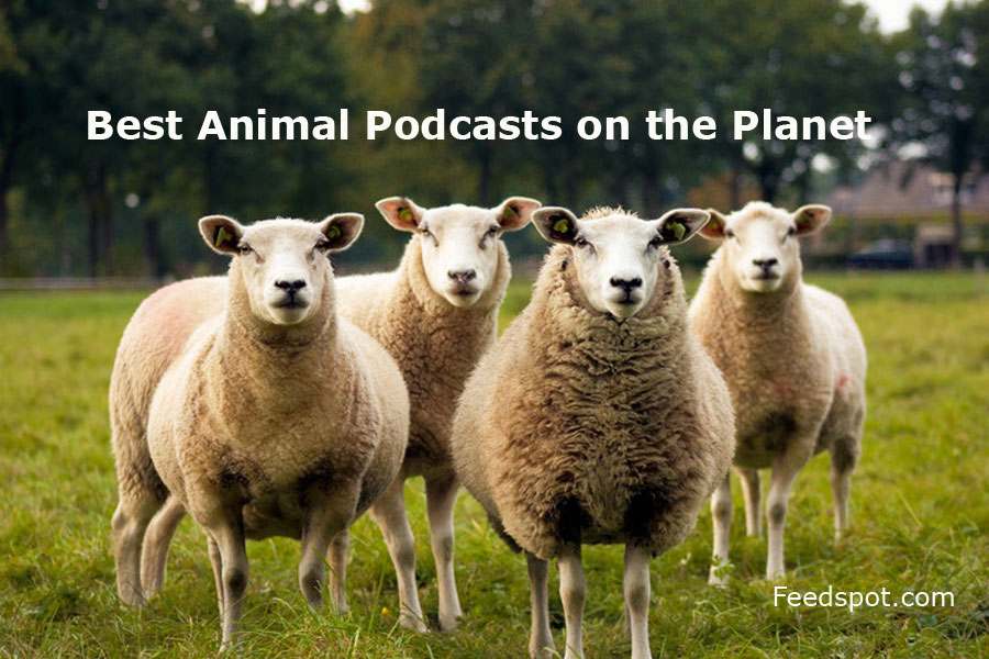 Animal Podcasts