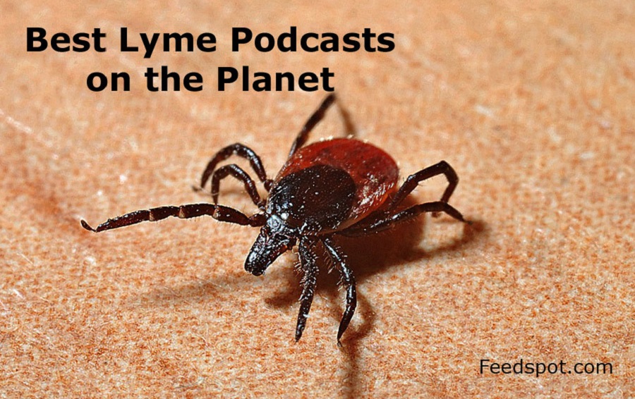 Lyme Podcasts 