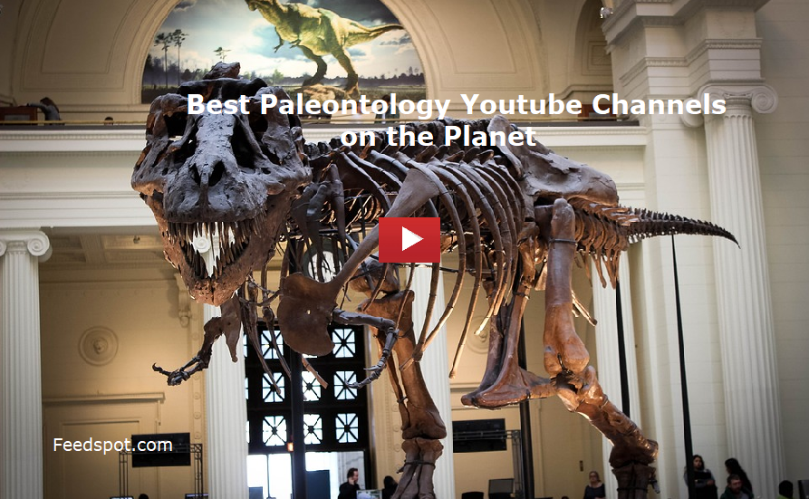Paleontology Youtube Channels