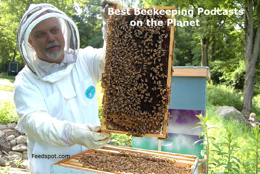 Beekeeping Podcasts