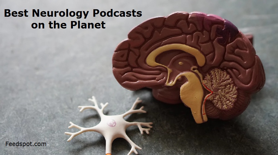 Neurology Podcasts