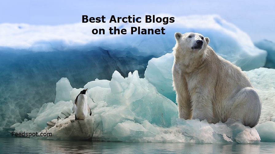 Arctic Blogs