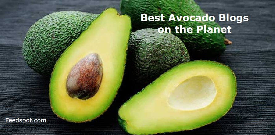 Avocado Blogs