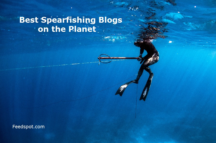 Spearfishing Blogs