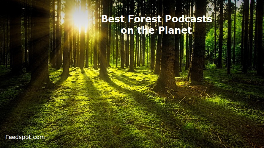 Forest Podcasts