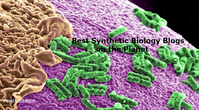 Synthetic Biology Blogs